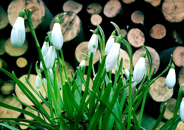 südSee e.V. Meldung